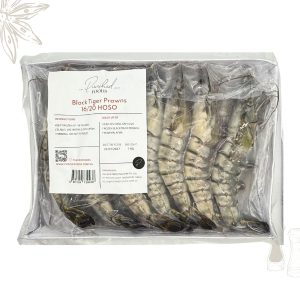 Frozen Black Tiger Prawns HOSO 16-20