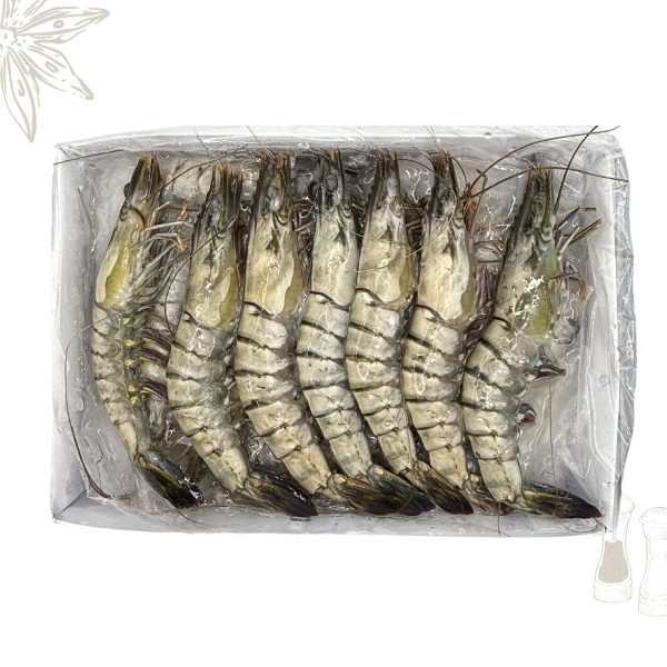 Frozen Black Tiger Prawns HOSO 16-20