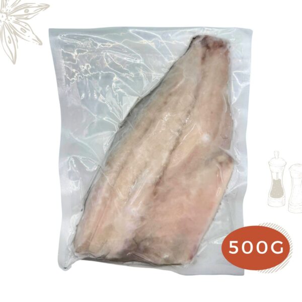 Barramundi Asian Seabass Fillet