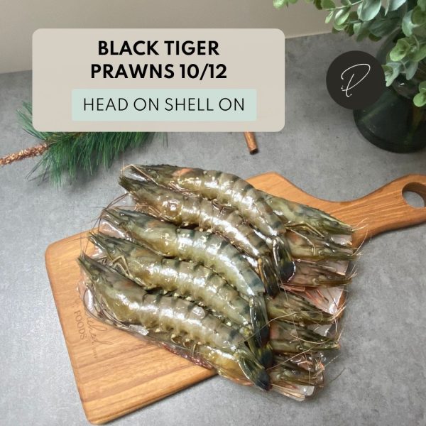 HOSO Extra Large Black Tiger Prawns 10-12