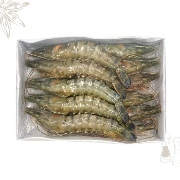 HOSO Extra Large Black Tiger Prawns 10-12