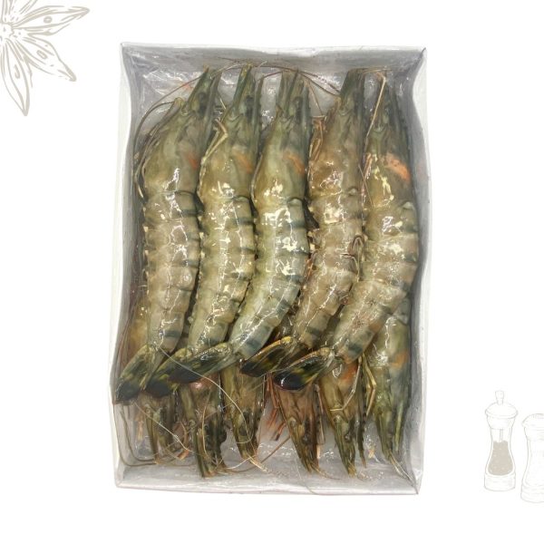 HOSO Extra Large Black Tiger Prawns 10-12