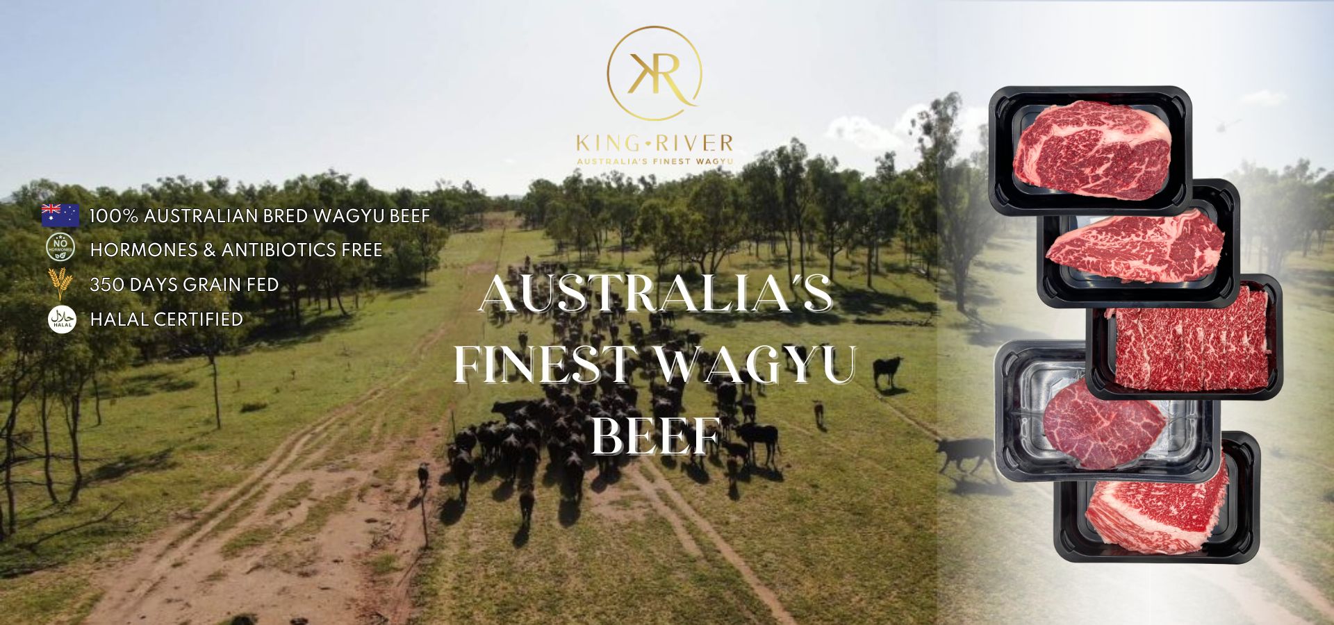 Halal Australia King River Wagyu