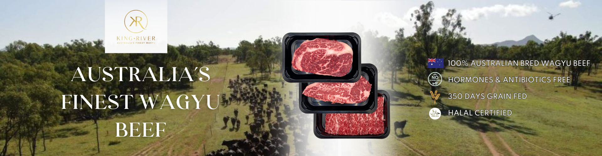 Halal Australia King River Wagyu