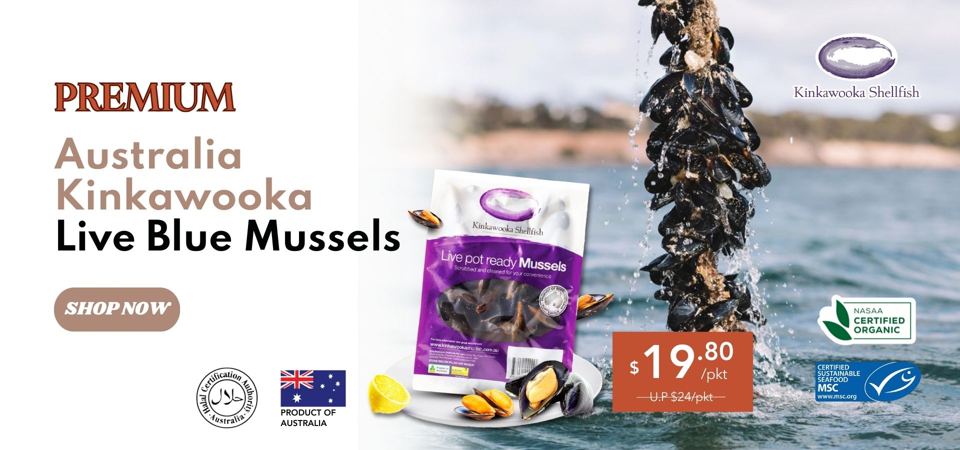 Live blue mussels Singapore