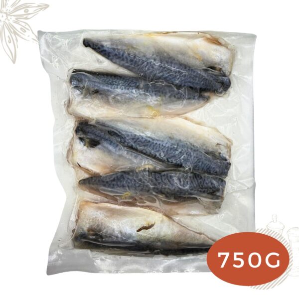 Spanish Mackerel Saba Fillet 6PCS 750G