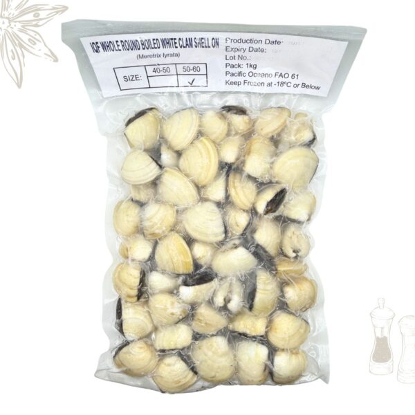 Frozen White Clams Shell On 50/60
