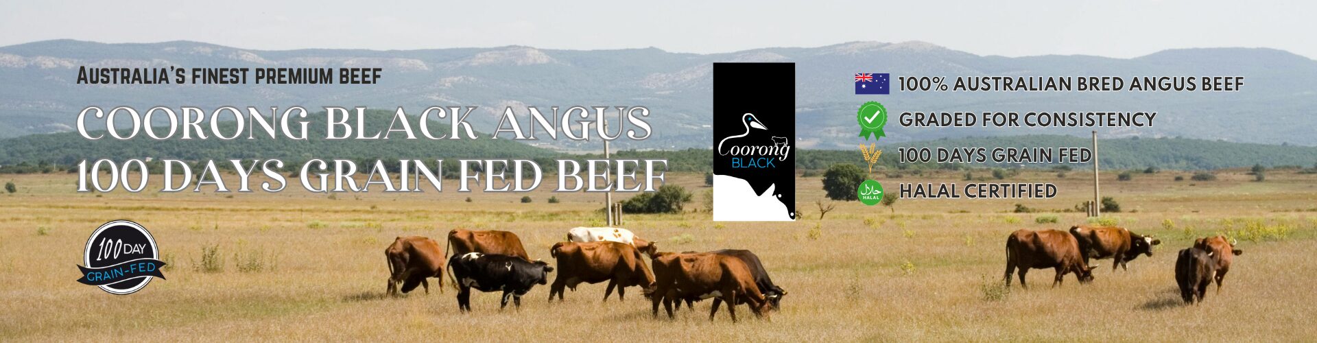 Halal Australia Black Angus Grain Fed Beef Singapore