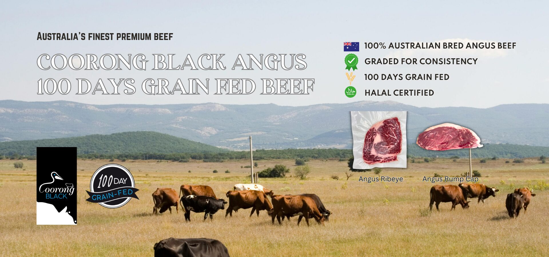 Halal Australia Black Angus Grain Fed Beef Singapore